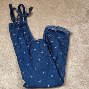 Aerie Overalls
